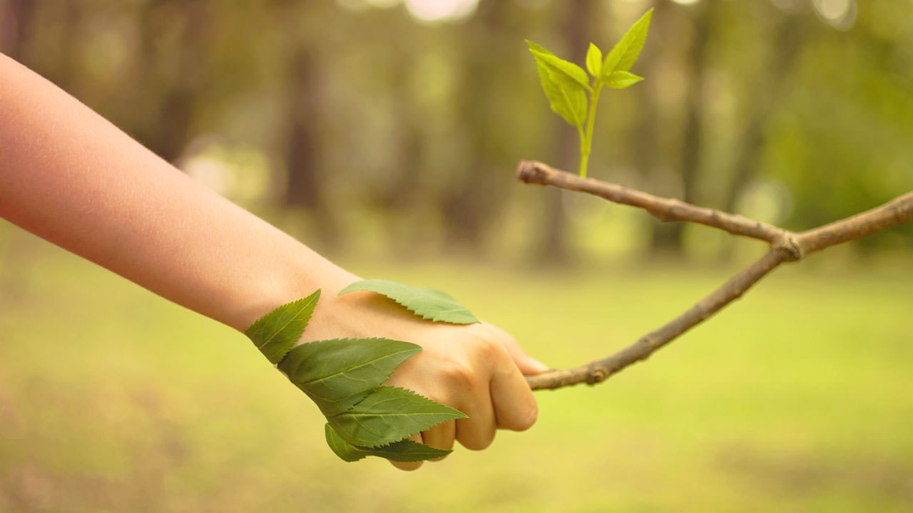 29 Tipps für die ökologische Nachhaltigkeit im Unternehmen – mit Cheat Sheet