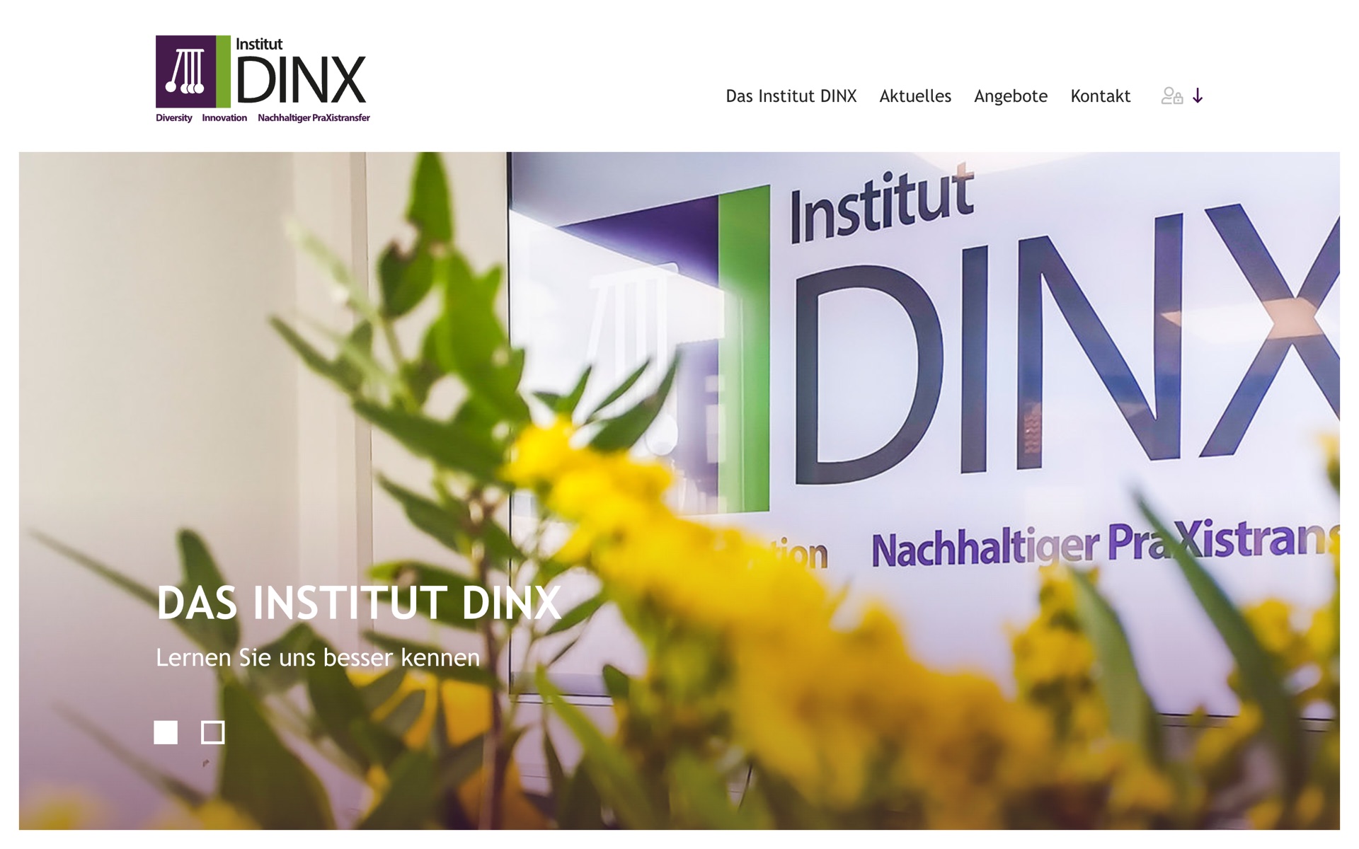 Startseite Institut DINX